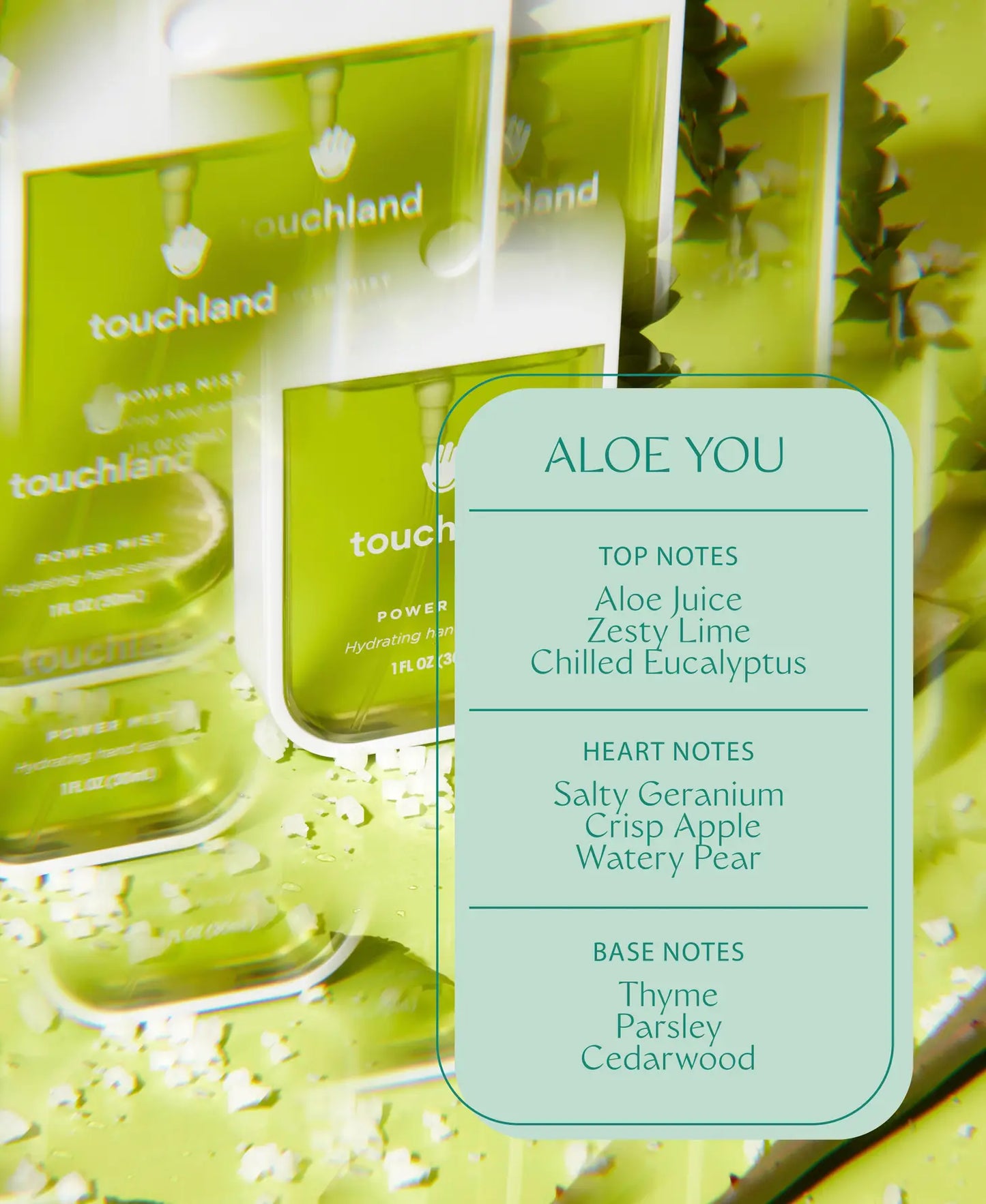 Touchland Power Mist Aloe You Hand Sanitizer