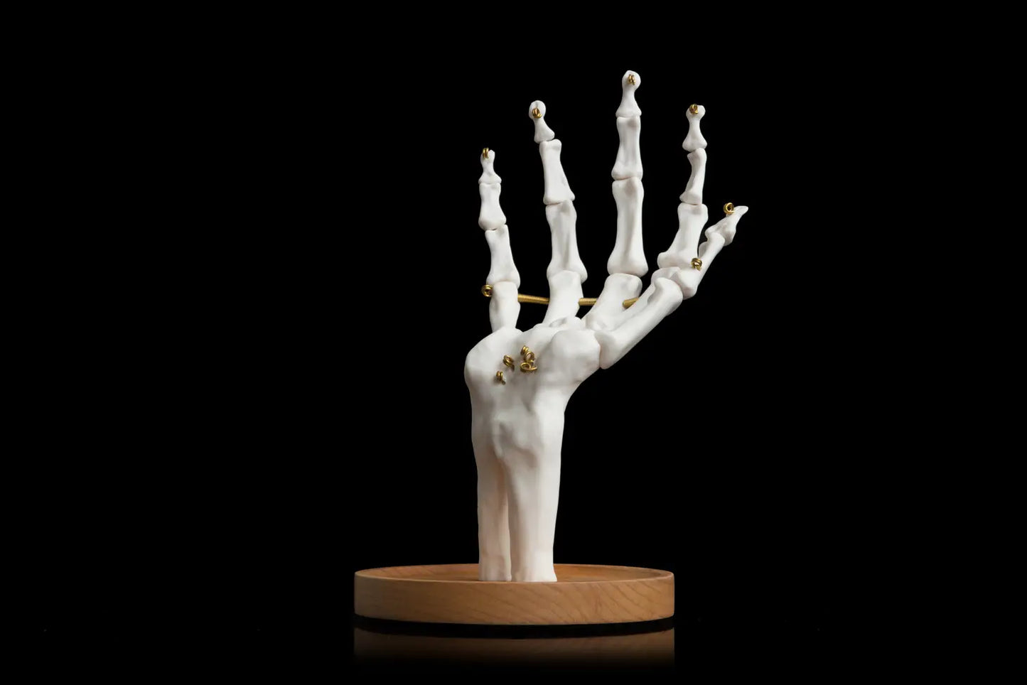 Suck US Skeleton Hand Jewelry Tidy